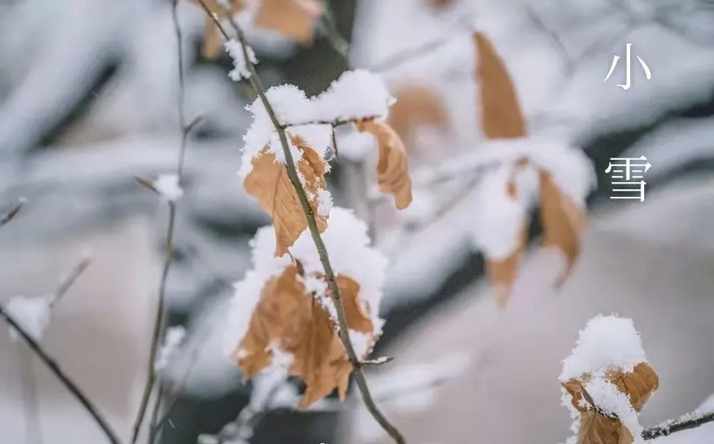 Neu menor - Què saber